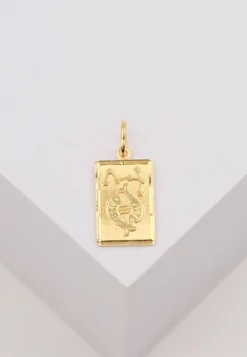 Anhänger Sternzeichen Fische Gelbgold 750, 20x9mm