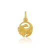 Anhänger Sternzeichen Löwe Gelbgold 750, 16x9mm