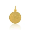 Anhänger Sternzeichen Löwe Gelbgold 750, 19x12mm