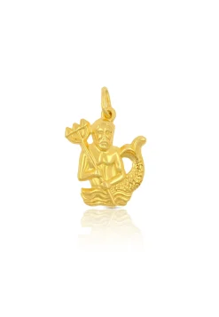 Anhänger Sternzeichen Wassermann Gelbgold 750, 21x14mm