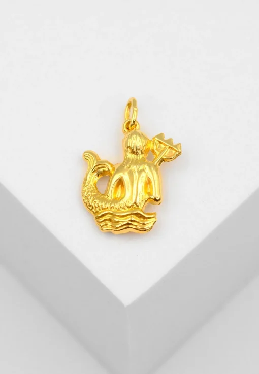 Anhänger Sternzeichen Wassermann Gelbgold 750, 21x14mm