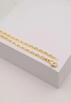 Collier Anker Gelbgold 750, 2.9mm, 60cm