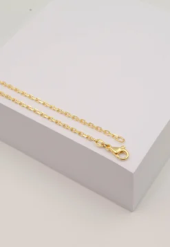 Collier Anker Gelbgold 750, 2mm, 55cm