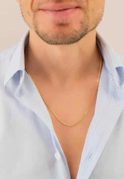 Collier Panzer Gelbgold 750, 2mm, 45cm