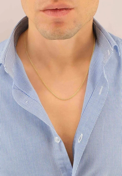 Collier Rundanker Gelbgold 750, 2mm, 50cm