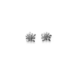 Ohrstecker Edelweiss Silber 925, 8mm