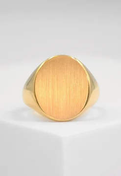 Plattenring Gelbgold 750