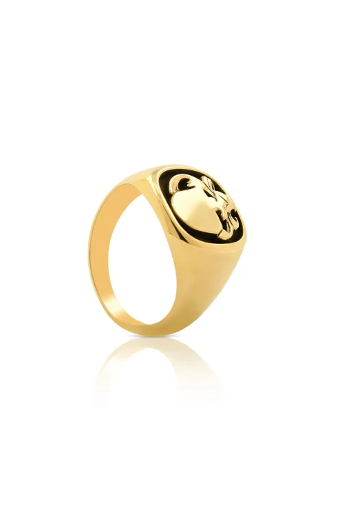 Wappenring Gelbgold 750