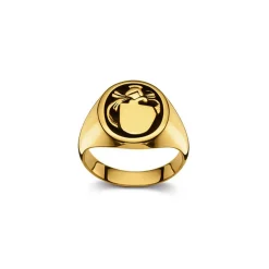 Wappenring Gelbgold 750