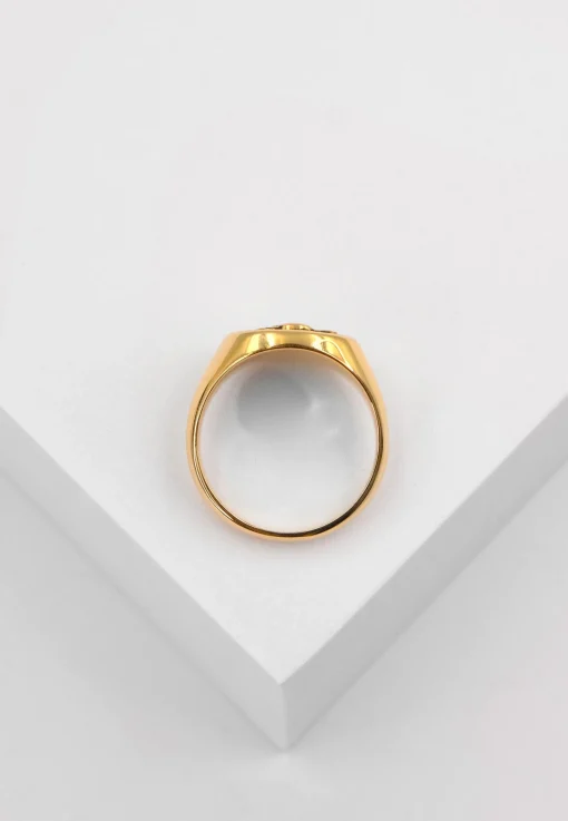 Wappenring Gelbgold 750