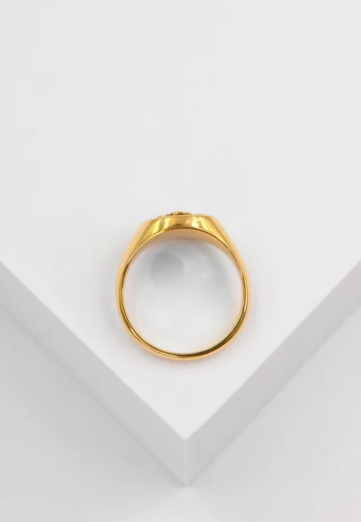 Wappenring Gelbgold 750