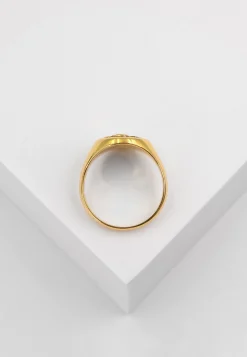 Wappenring Gelbgold 750
