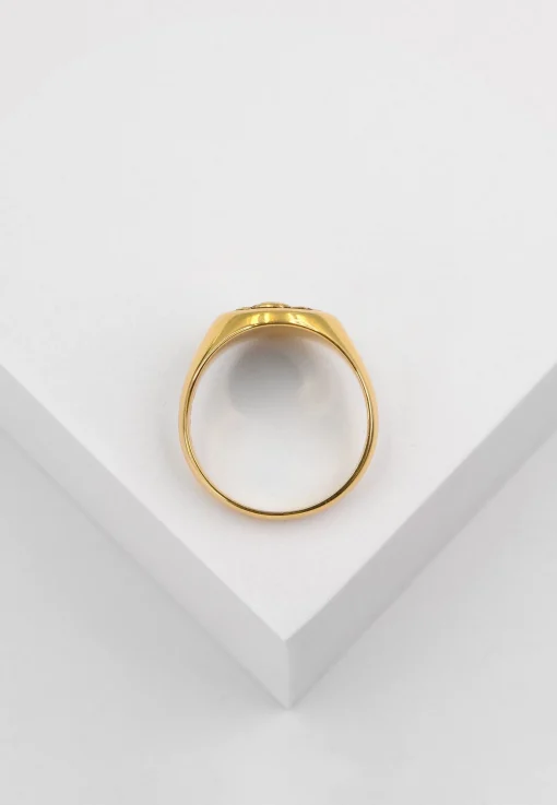 Wappenring Gelbgold 750